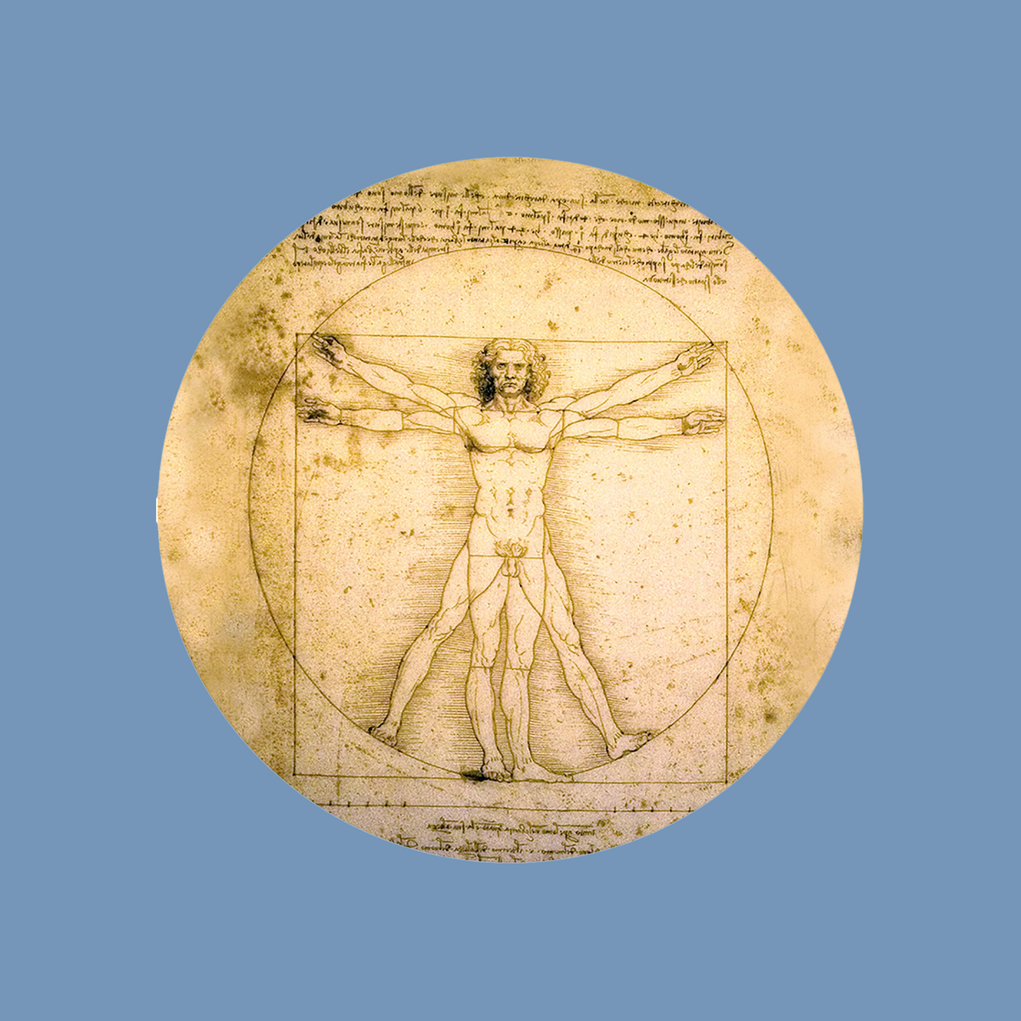 Presse Papiers Homme de Vitruve