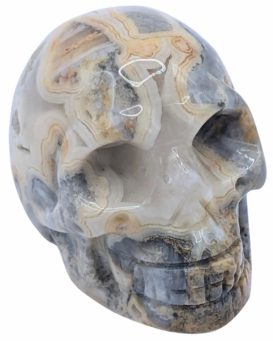Crâne en pierre naturelle - Agate Crazy Lace
