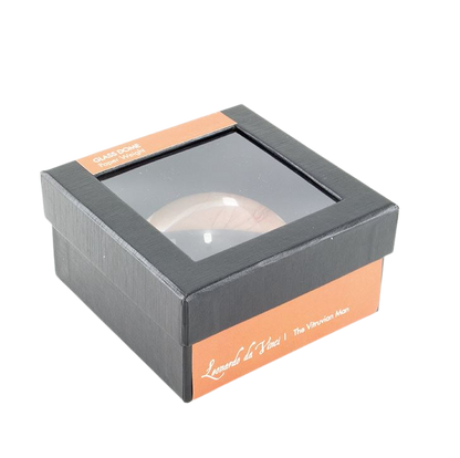 Presse Papiers Homme de Vitruve