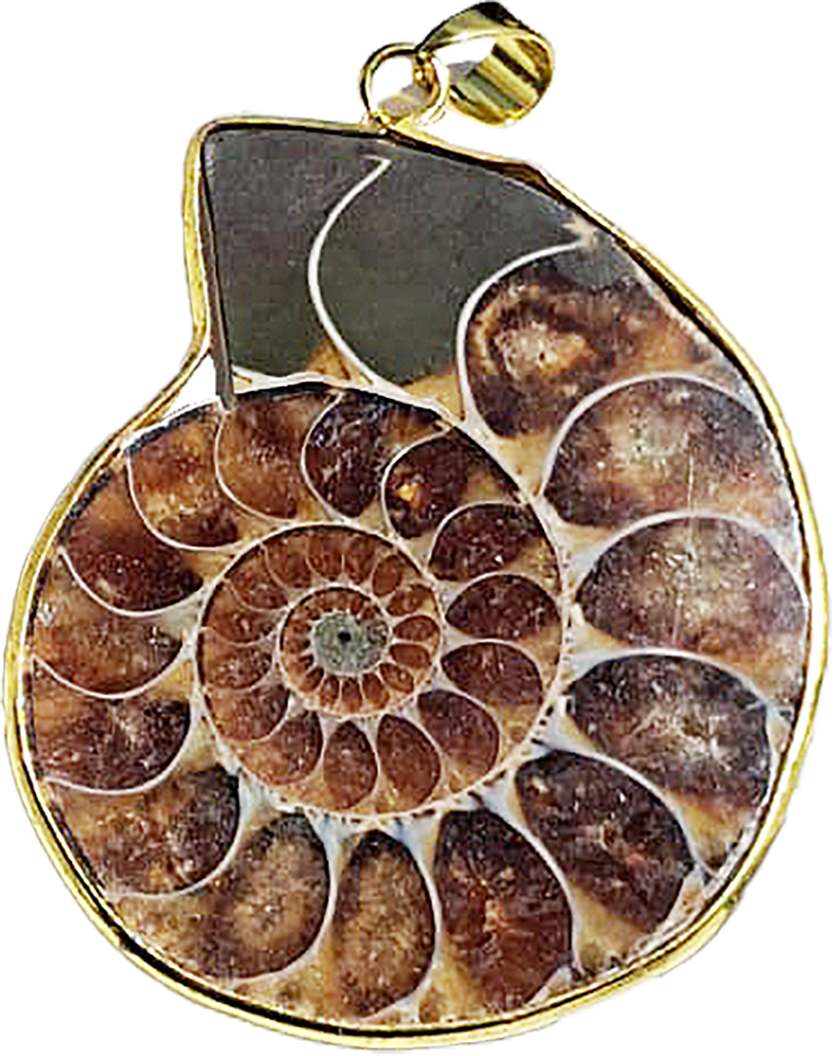 Pendentif Ammonite