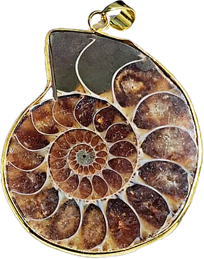 Pendentif Ammonite