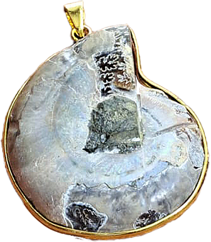 Pendentif Ammonite