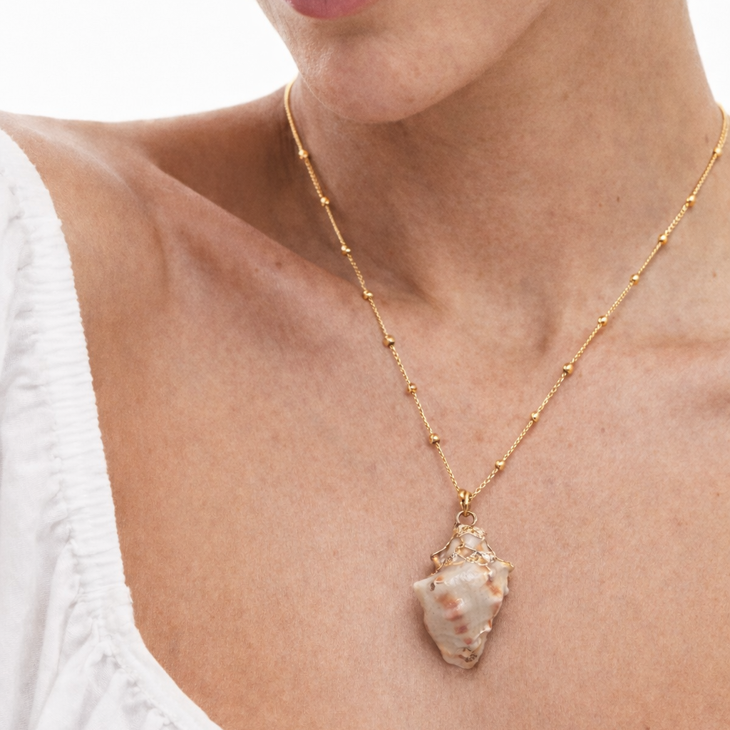 Collier Coquillage de mer