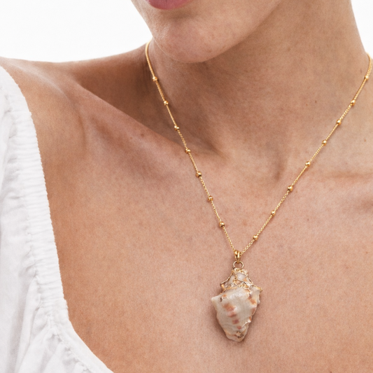 Collier Coquillage de mer
