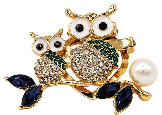 Broche Duo Hiboux Précieux