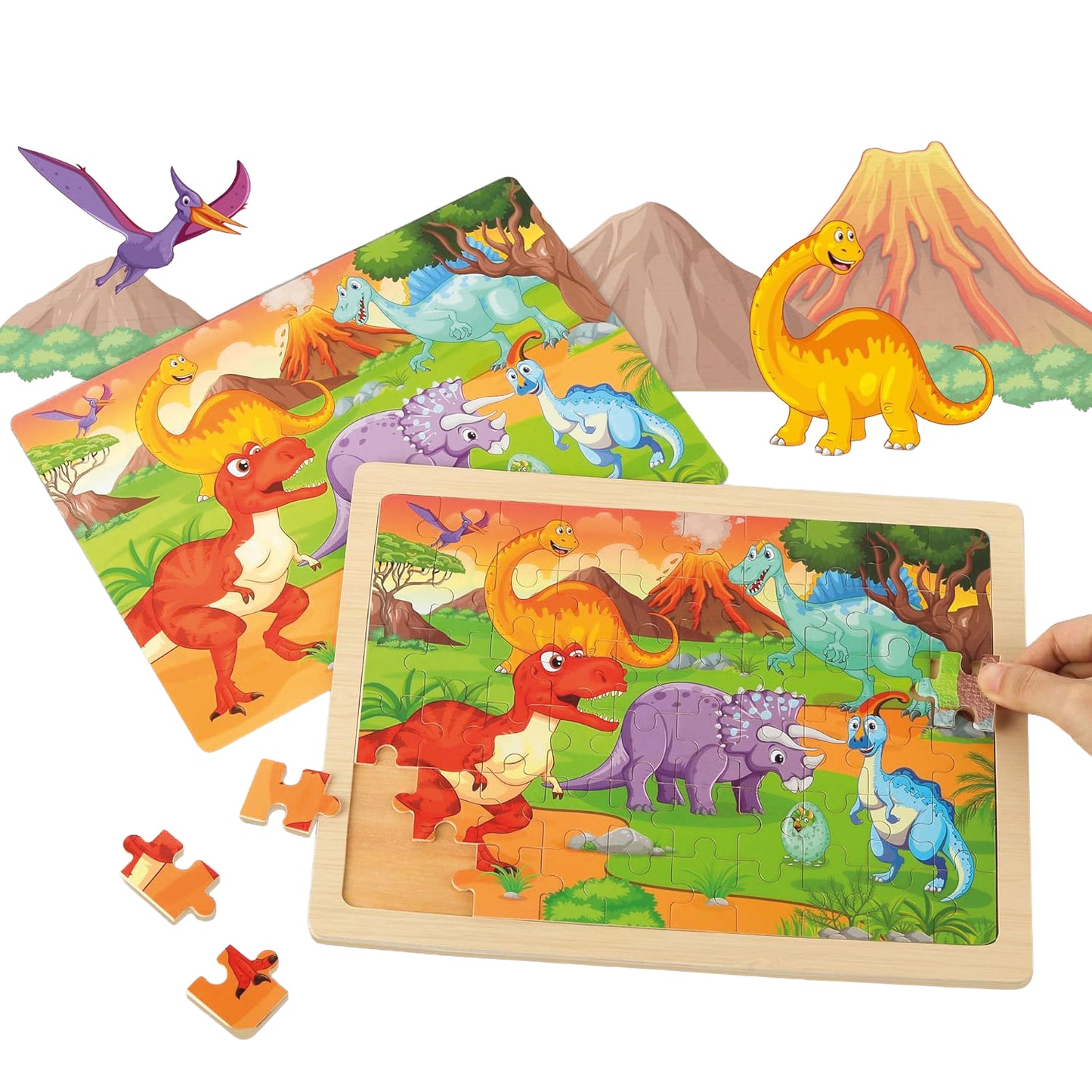 set puzzles en bois