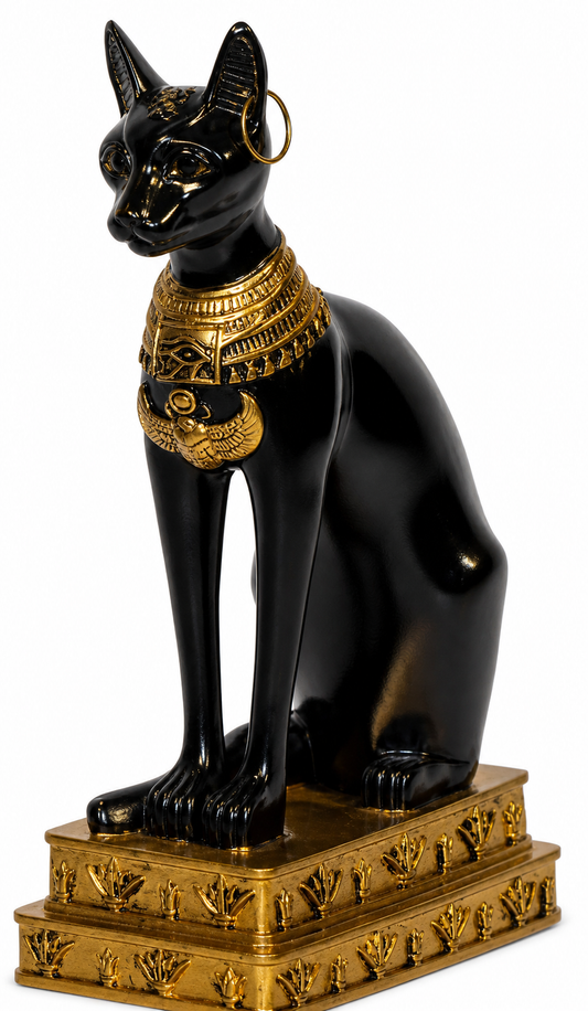 Chat aux Trois Symboles